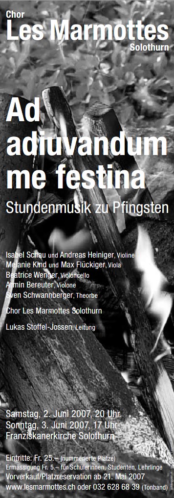 flyer_ad_adjuvandum.jpg  
